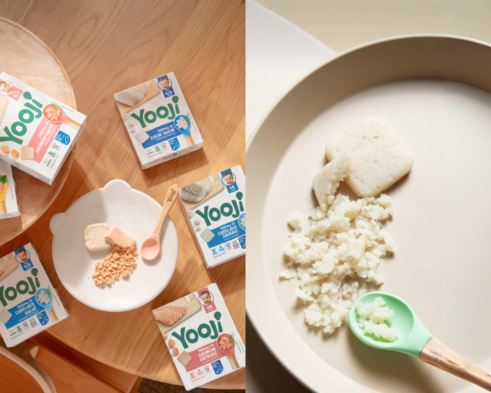 Nos poissons sauvages pour bébé