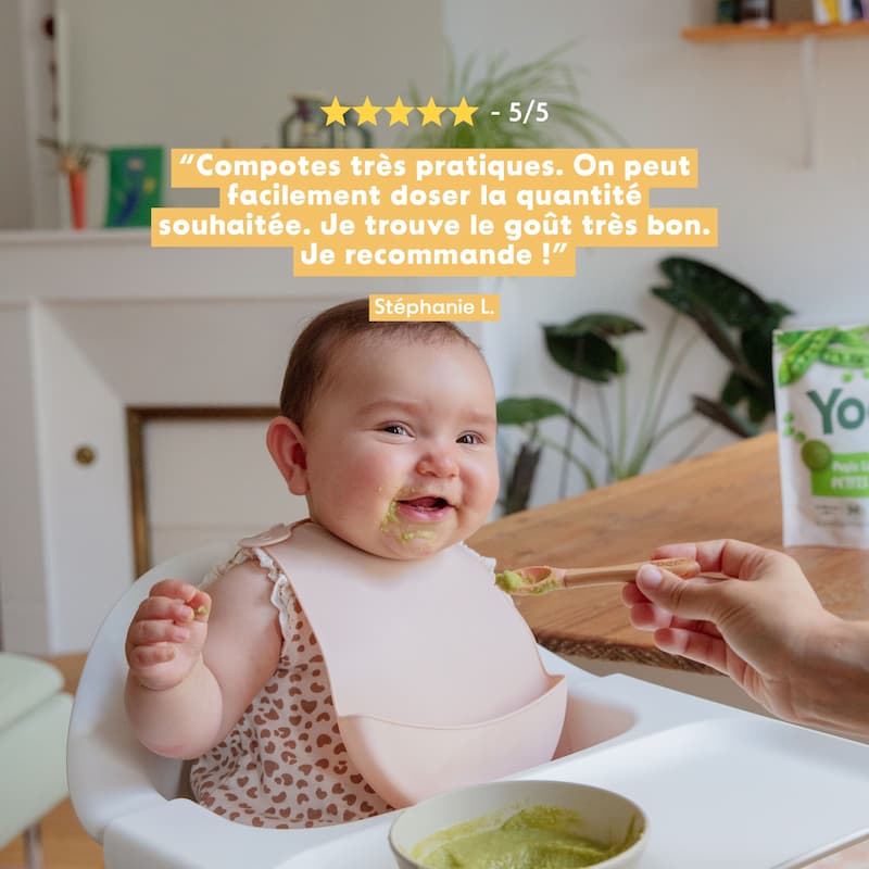 Purée lisse de Pommes 